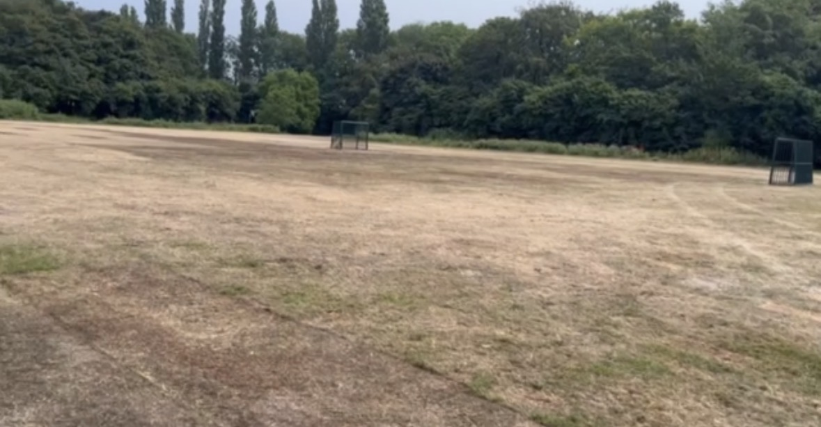 Verdroogd en beschadigd grasveld in het Flevopark met bomen op de achtergrond