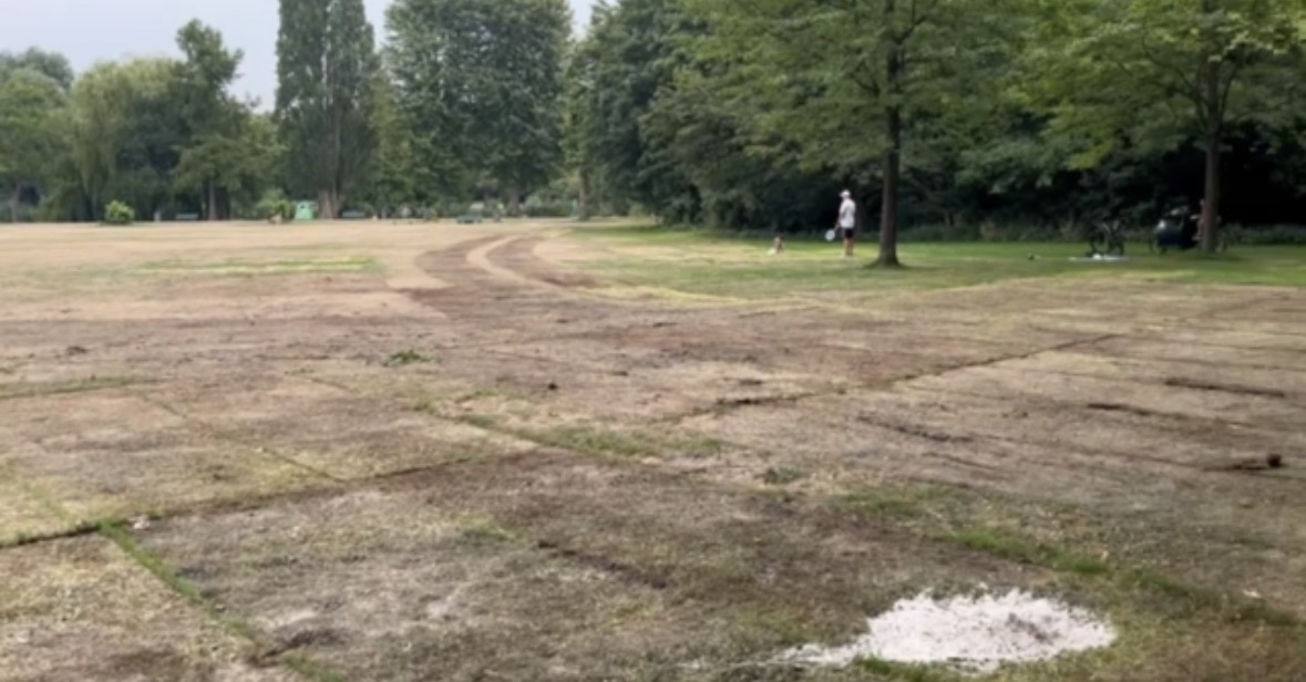 Kale, vertrapte grond met zichtbare bandensporen op een grasveld in het Flevopark