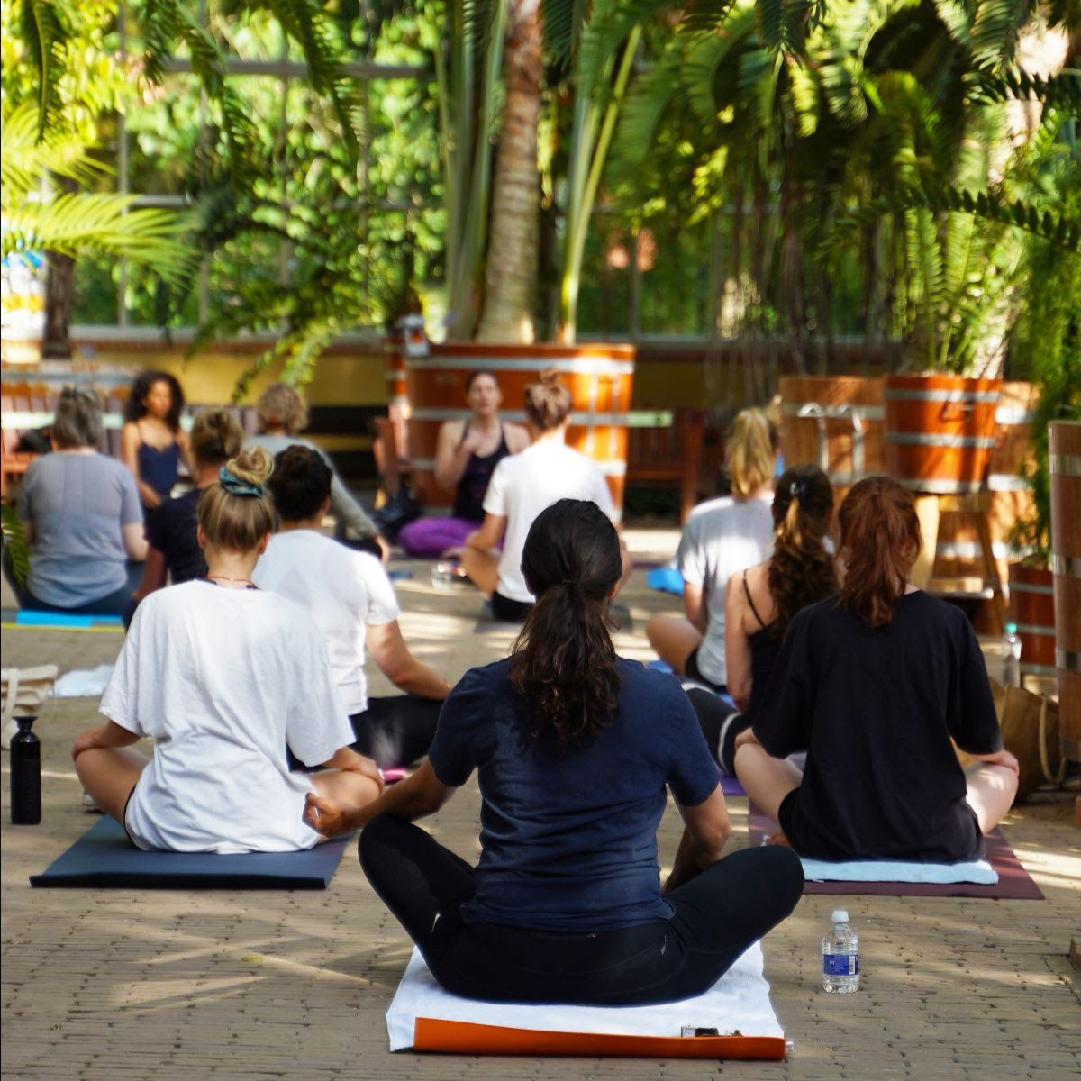 Deelnemers doen yoga tussen de palmen in de Palmenkas van de Hortus Botanicus