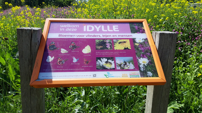 Informatiebord bij de Vlinderidylle van Natuur, je beste buur op Sportpark Middenmeer