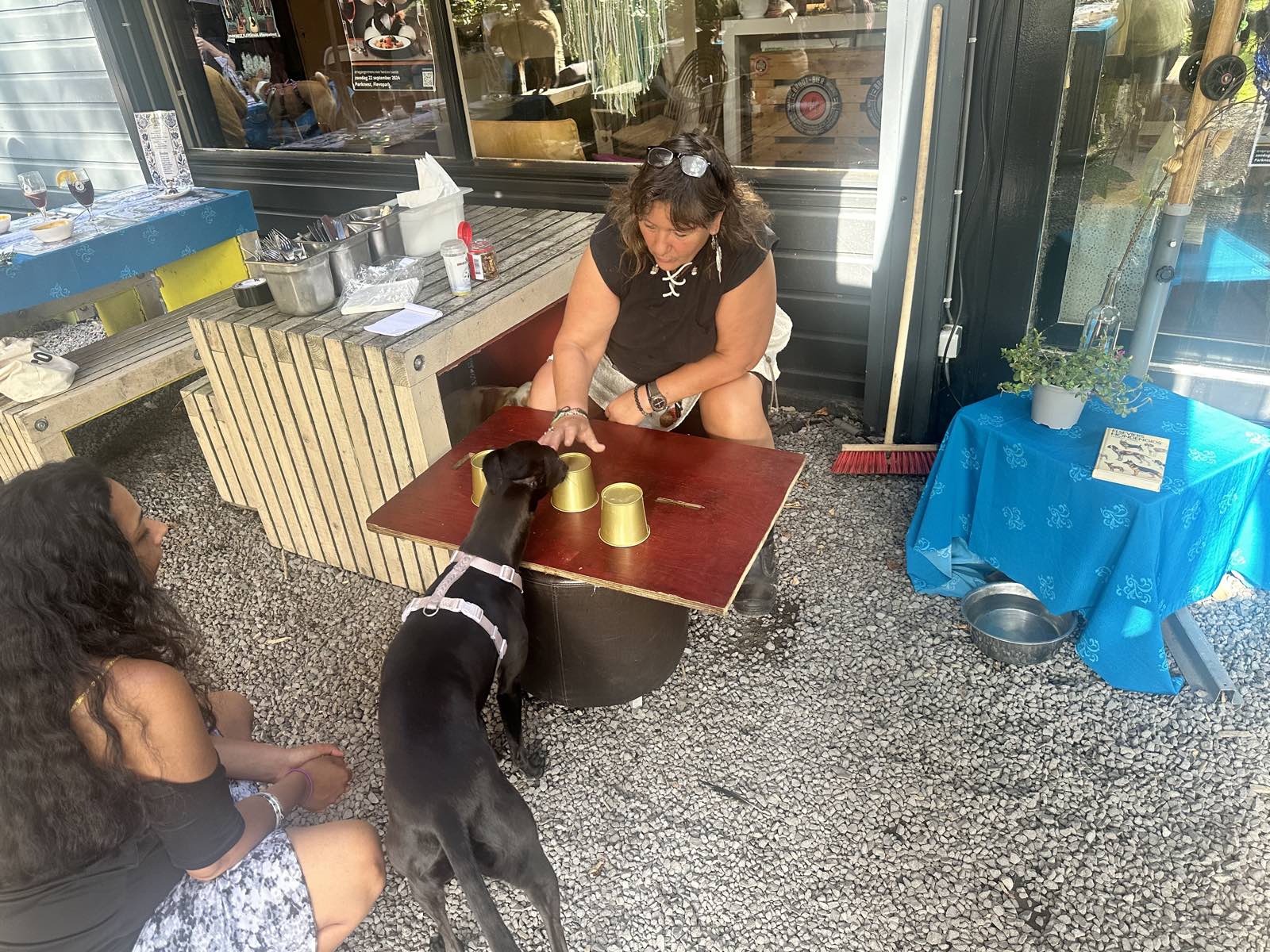 Een hond speelt balletje-balletje met drie gouden bekers op een tafeltje, begeleid door een vrijwilliger