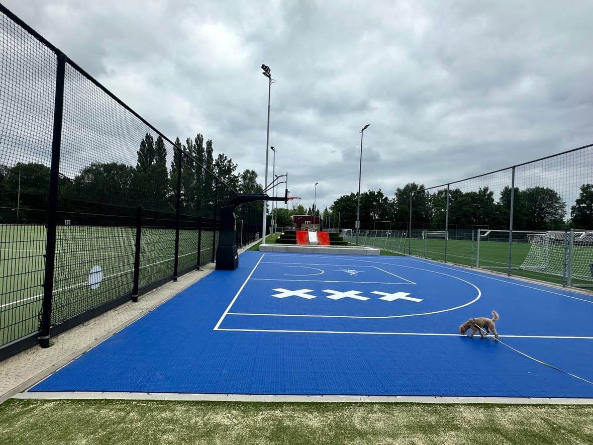 Het 3x3-basketbalveld van de nieuwe sportzone