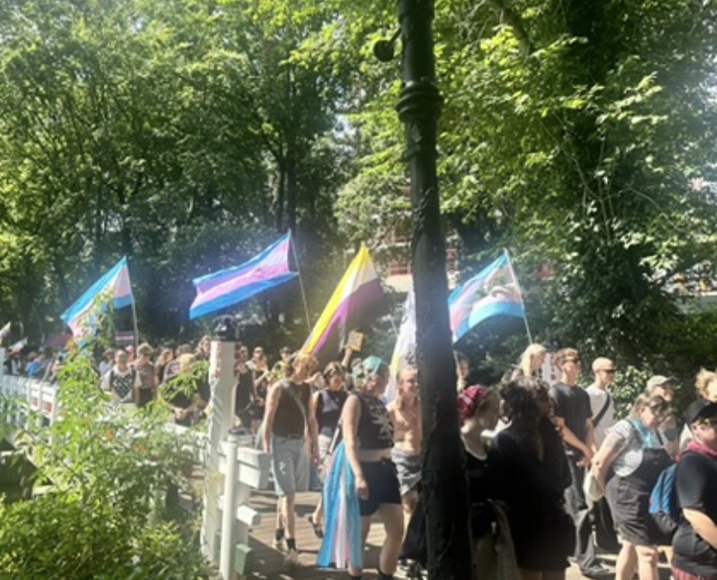 Vlaggen van de transgendergemeenschap tijdens een eerdere editie van de Trans Pride Walk